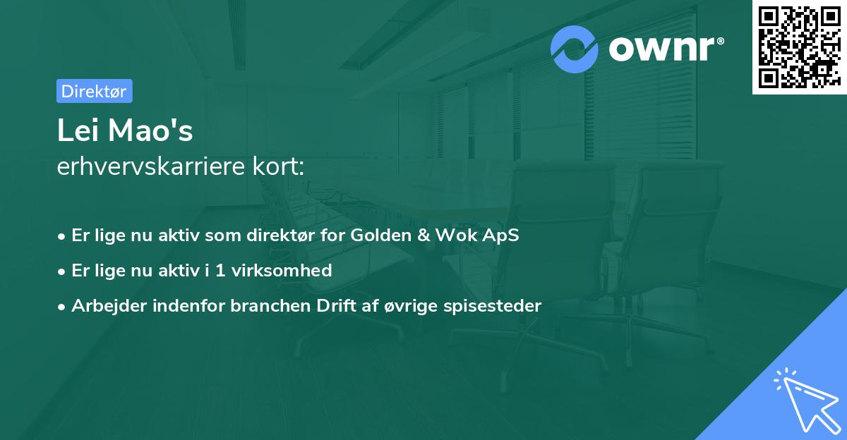 Lei Mao's erhvervskarriere kort
