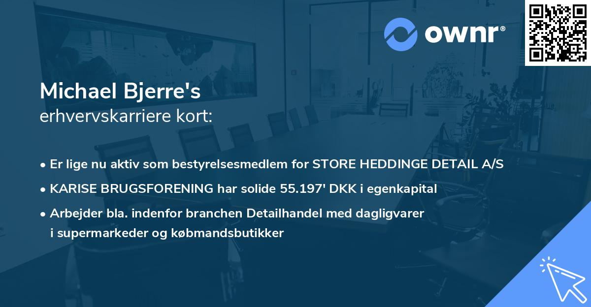 Michael Bjerre's erhvervskarriere kort