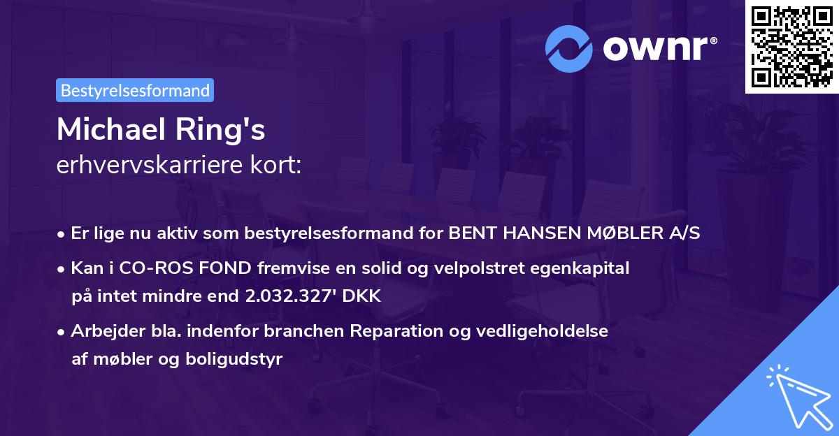 Michael Ring's erhvervskarriere kort