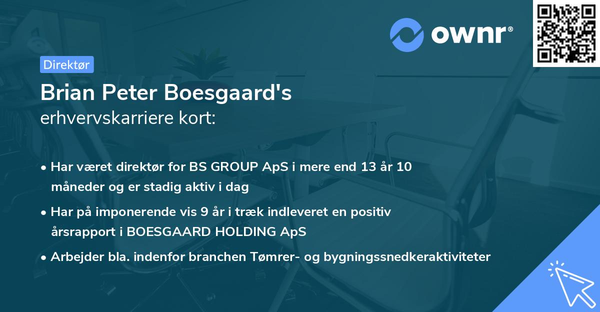 Brian Peter Boesgaard's erhvervskarriere kort