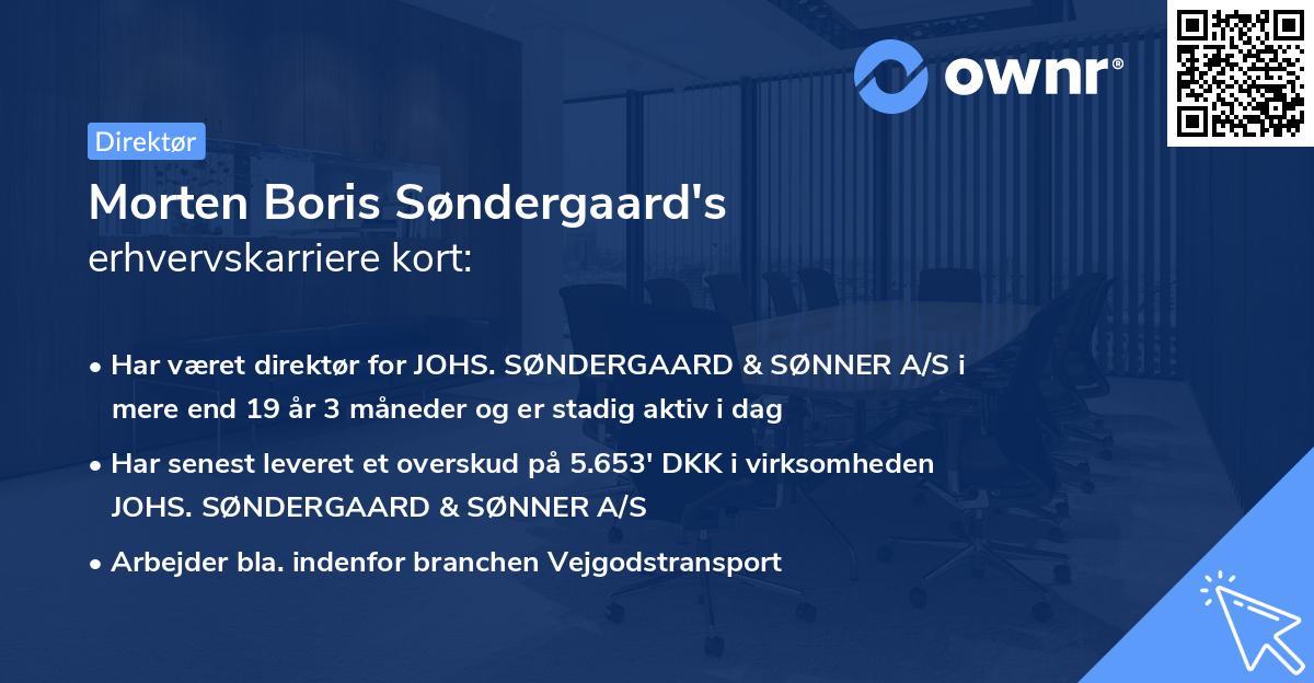 Morten Boris Søndergaard's erhvervskarriere kort