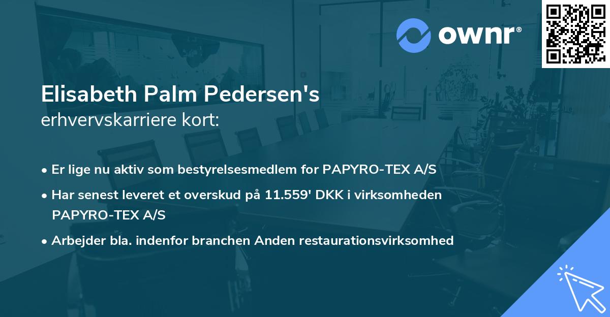 Elisabeth Palm Pedersen's erhvervskarriere kort