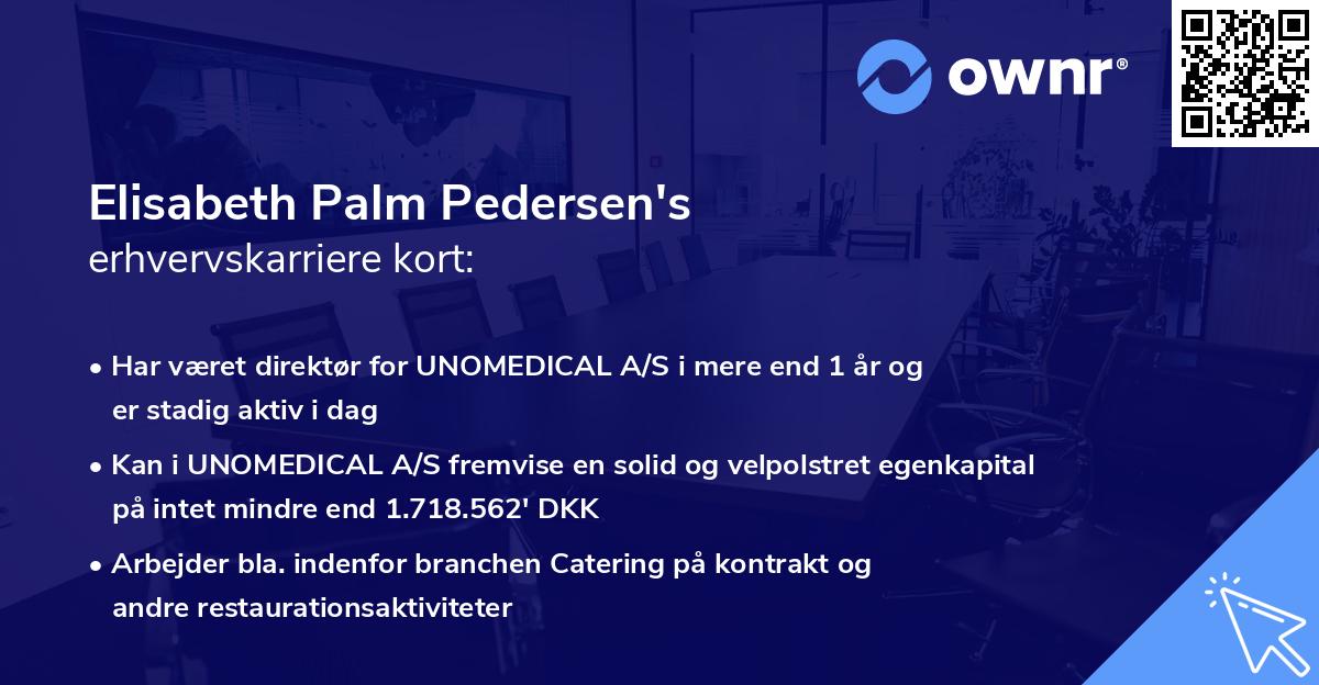 Elisabeth Palm Pedersen's erhvervskarriere kort