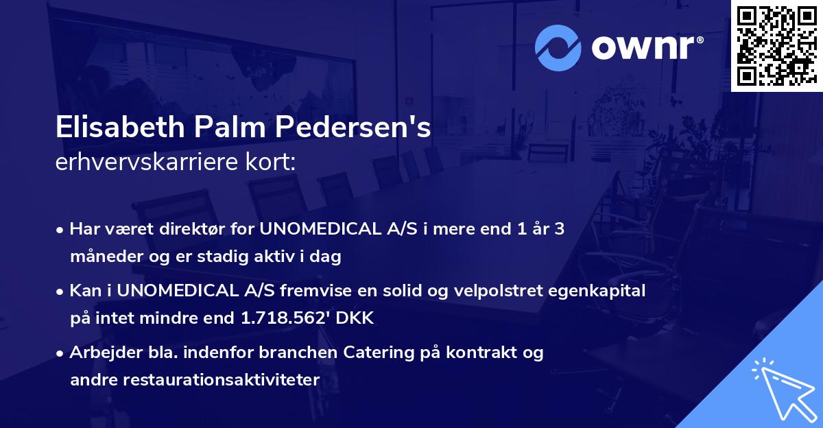 Elisabeth Palm Pedersen's erhvervskarriere kort