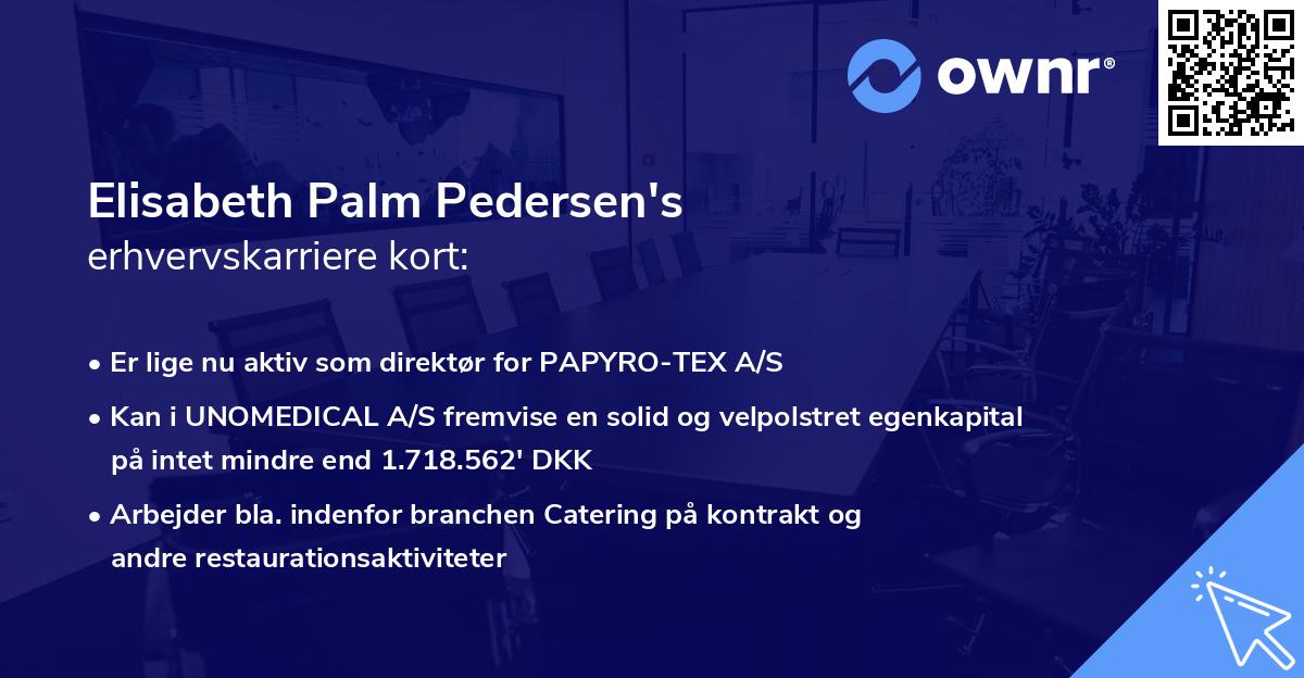 Elisabeth Palm Pedersen's erhvervskarriere kort