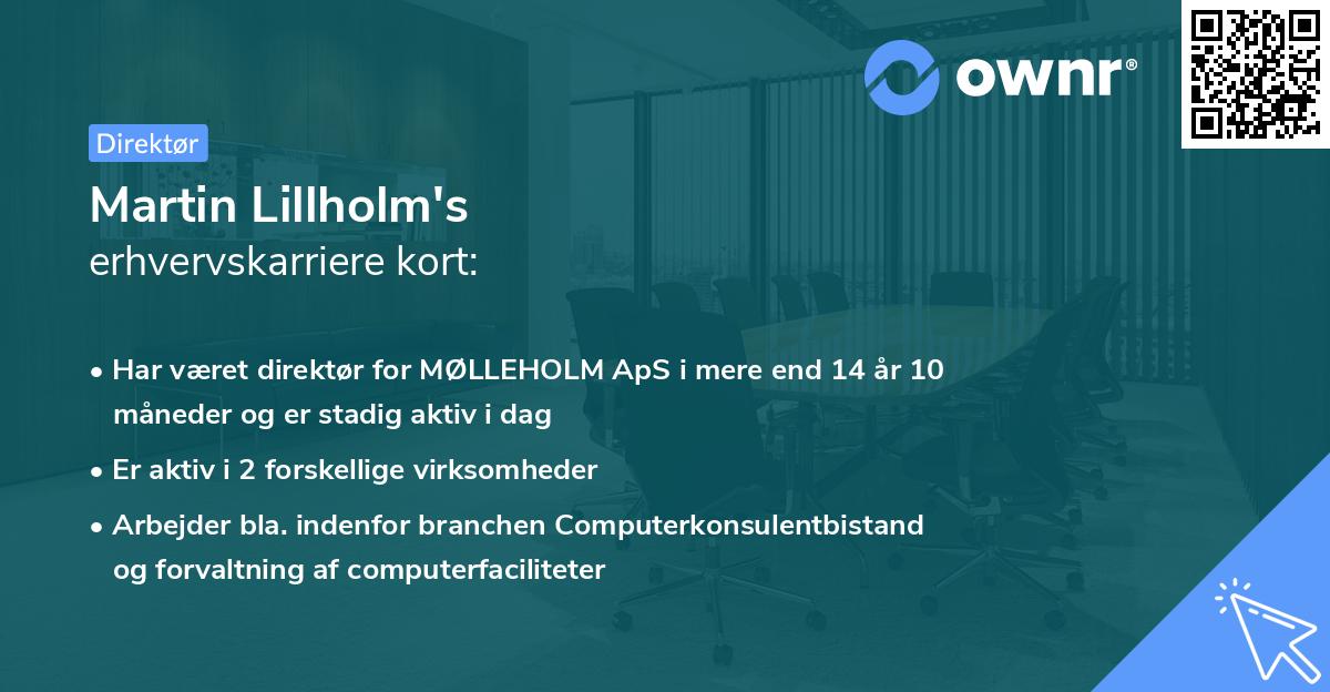 Martin Lillholm's erhvervskarriere kort