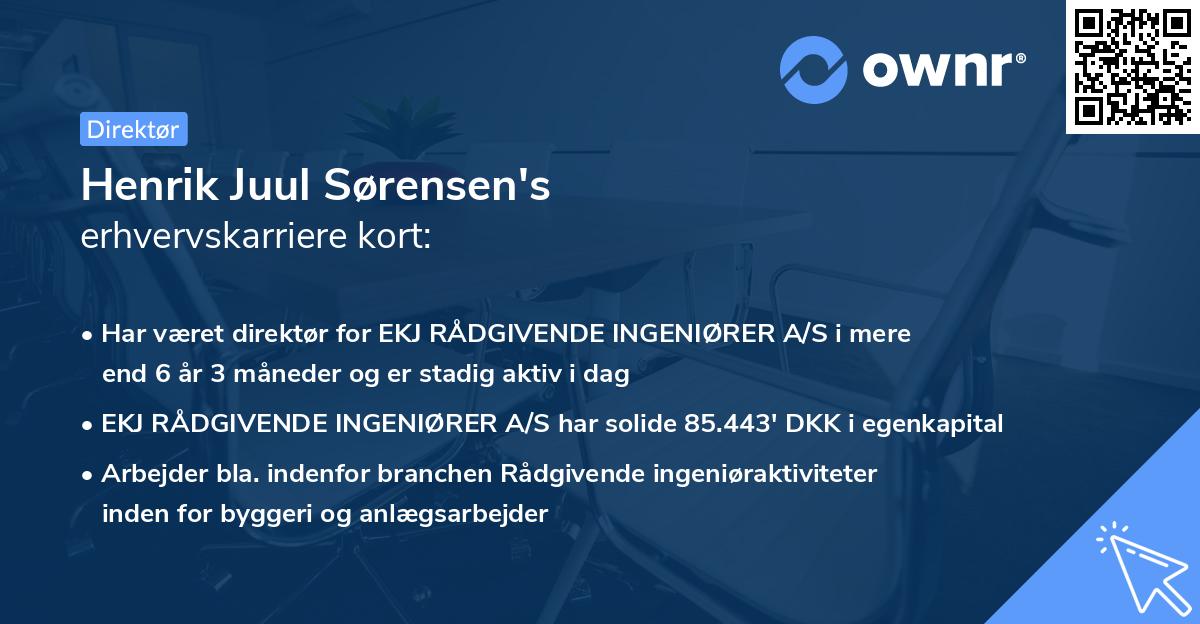 Henrik Juul Sørensen's erhvervskarriere kort