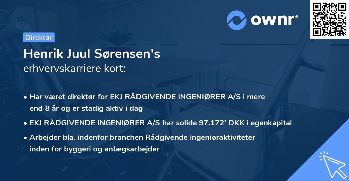Henrik Juul Sørensen's erhvervskarriere kort
