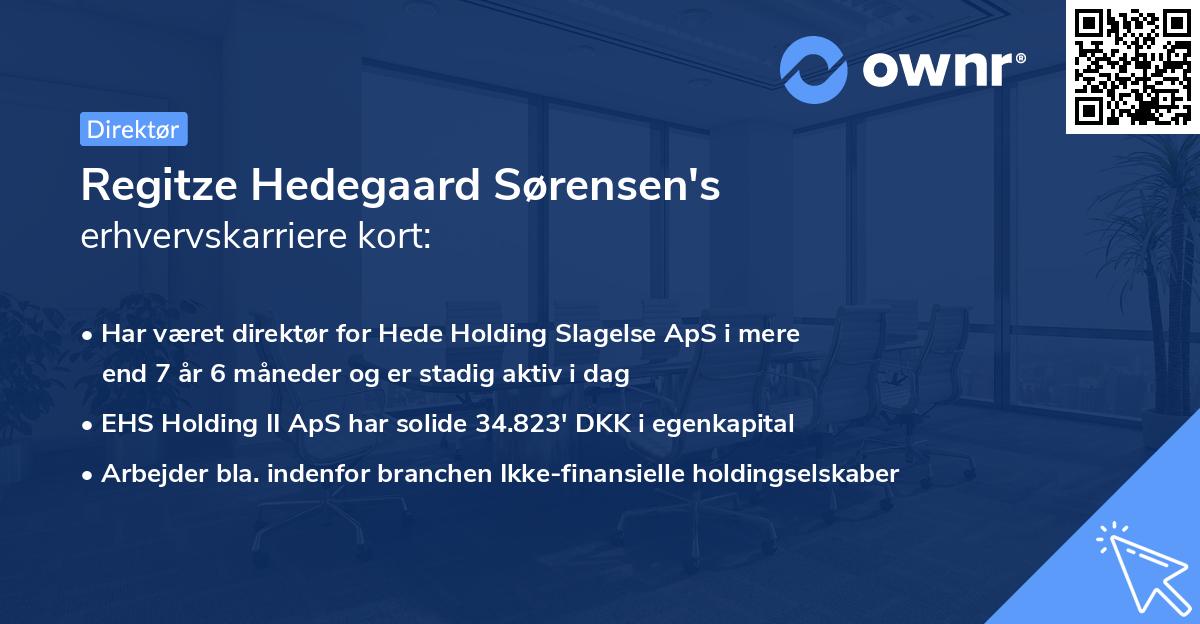 Regitze Hedegaard Sørensen's erhvervskarriere kort