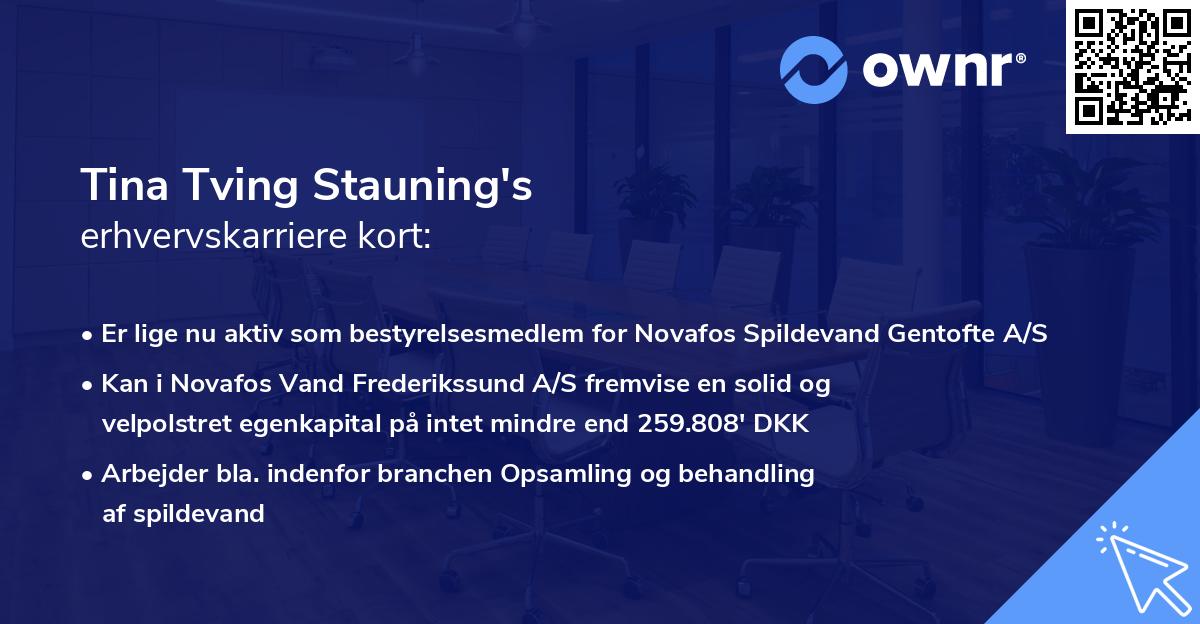 Tina Tving Stauning's erhvervskarriere kort