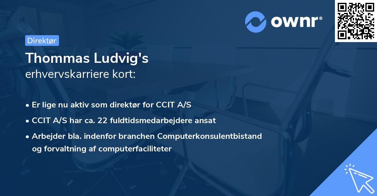 Thommas Ludvig's erhvervskarriere kort