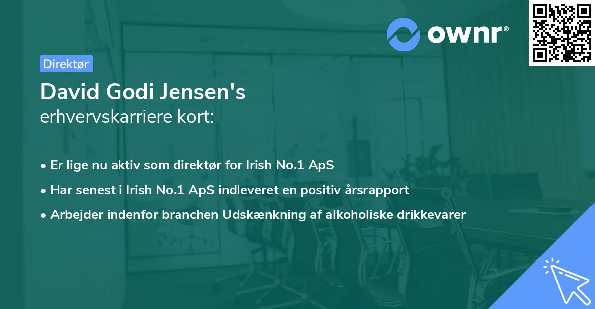 David Godi Jensen's erhvervskarriere kort