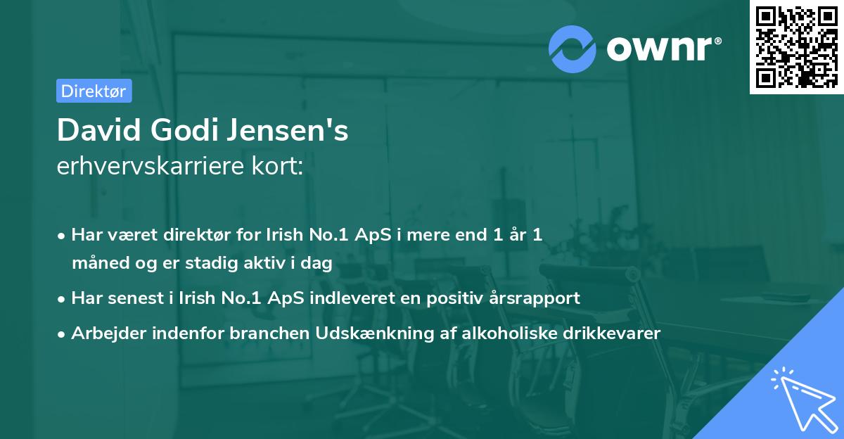 David Godi Jensen's erhvervskarriere kort