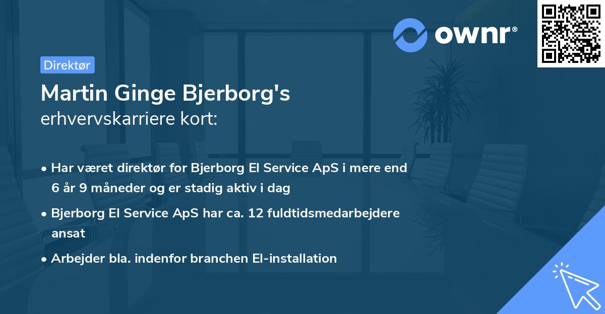 Martin Ginge Bjerborg's erhvervskarriere kort