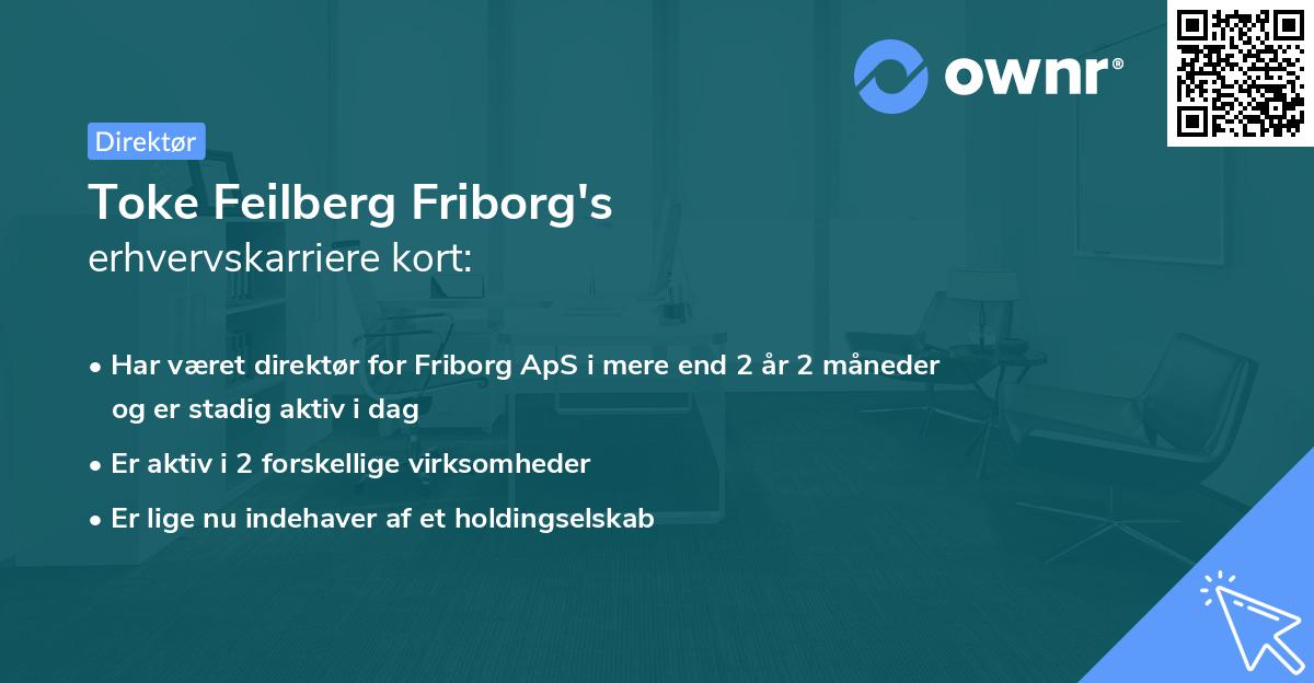 Toke Feilberg Friborg's erhvervskarriere kort