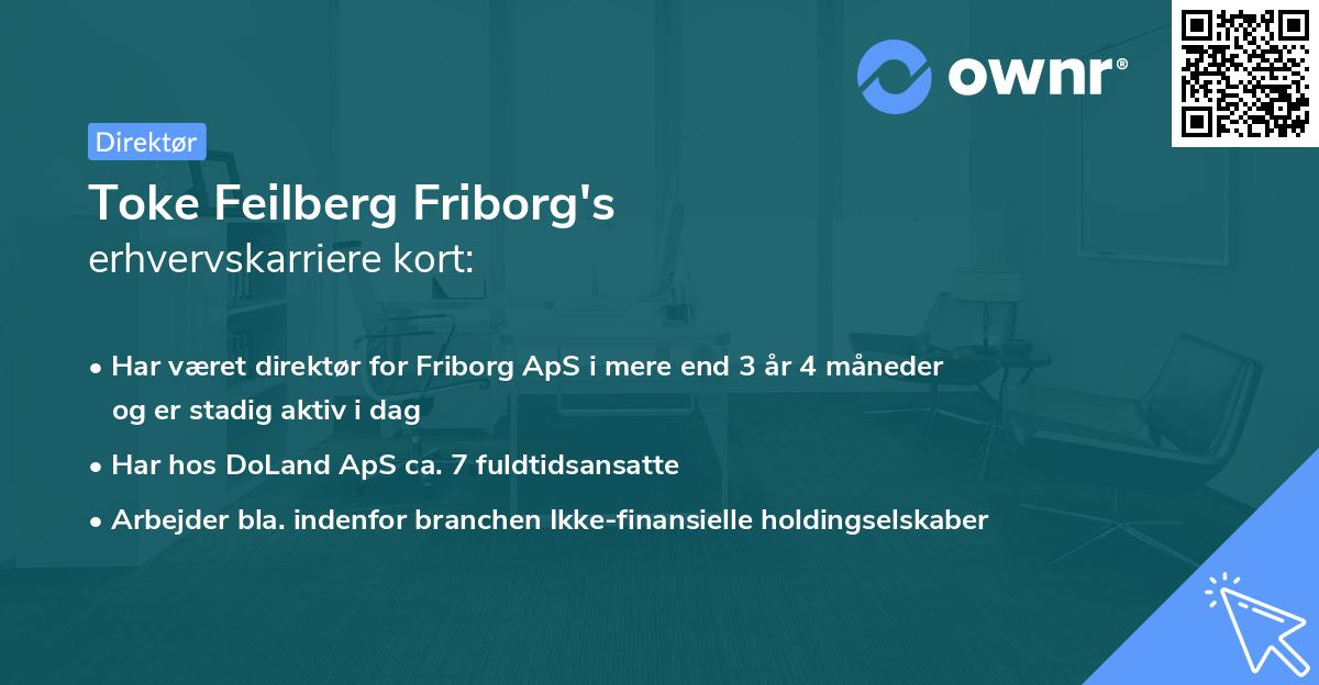Toke Feilberg Friborg's erhvervskarriere kort