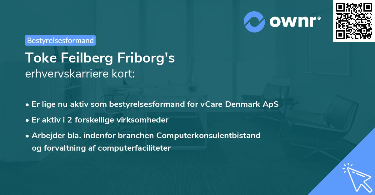 Toke Feilberg Friborg's erhvervskarriere kort