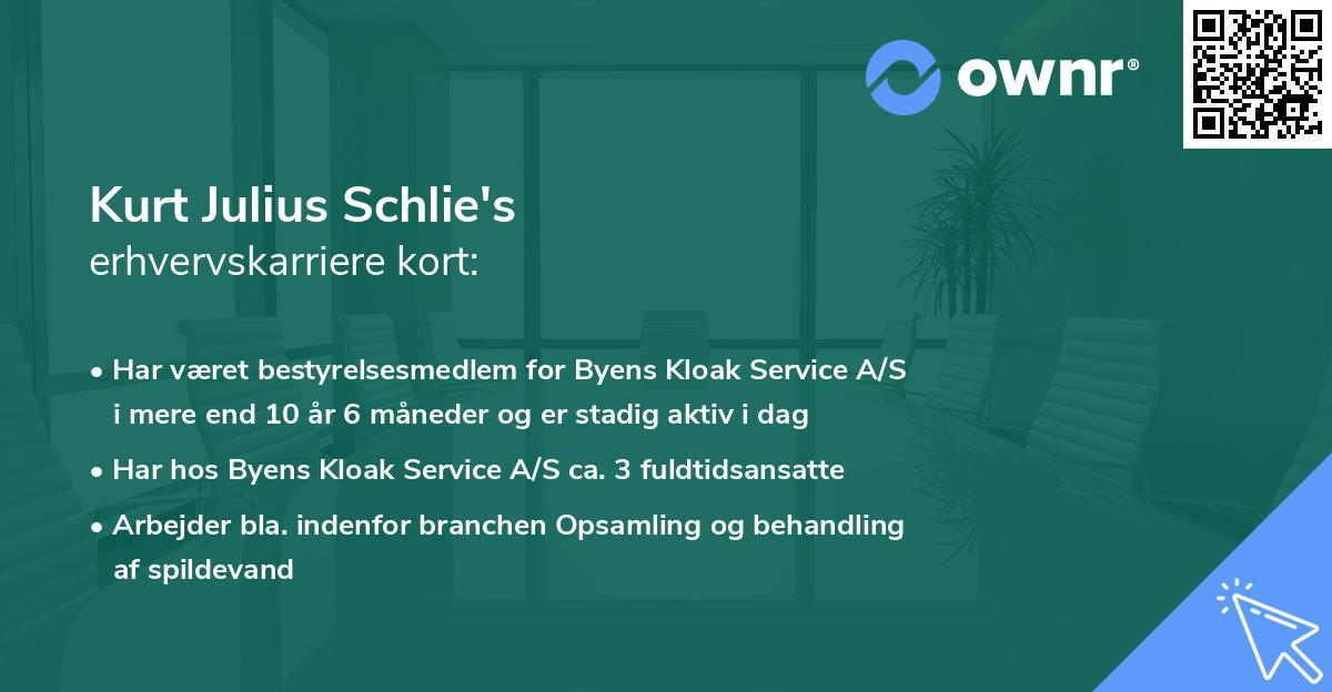 Kurt Julius Schlie's erhvervskarriere kort