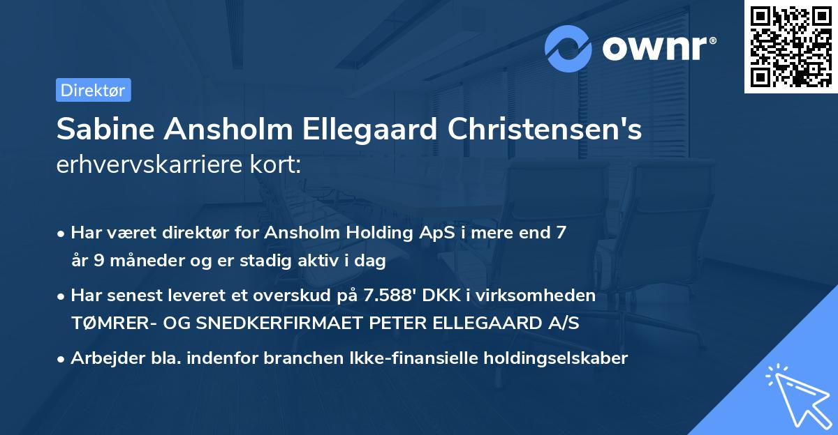 Sabine Ansholm Ellegaard Christensen's erhvervskarriere kort