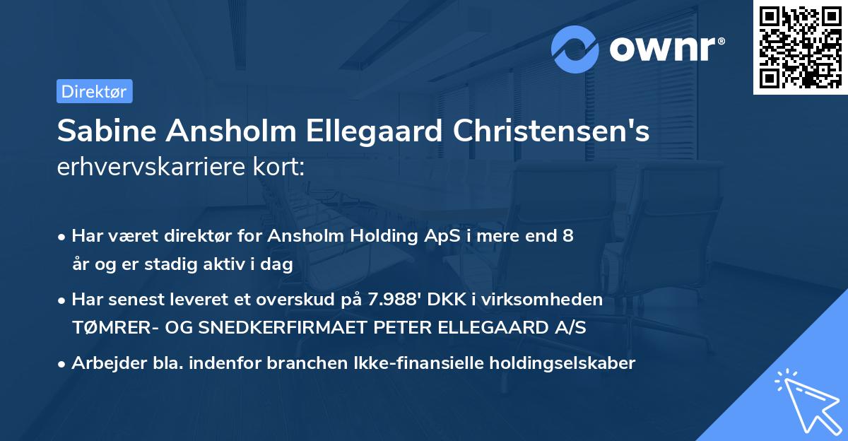 Sabine Ansholm Ellegaard Christensen's erhvervskarriere kort