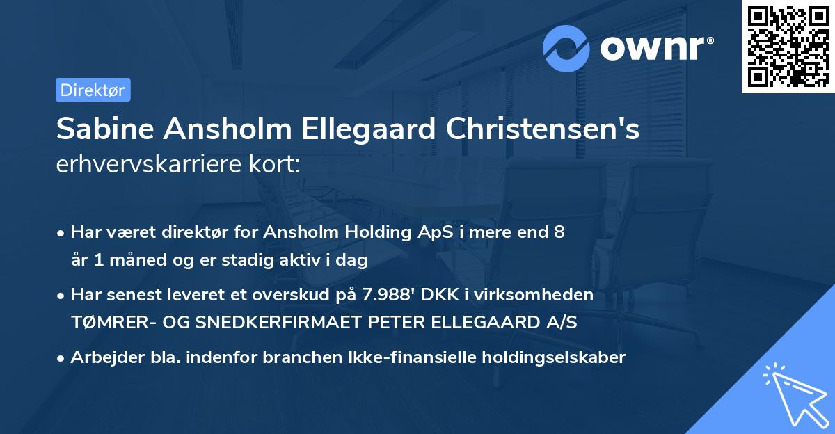 Sabine Ansholm Ellegaard Christensen's erhvervskarriere kort
