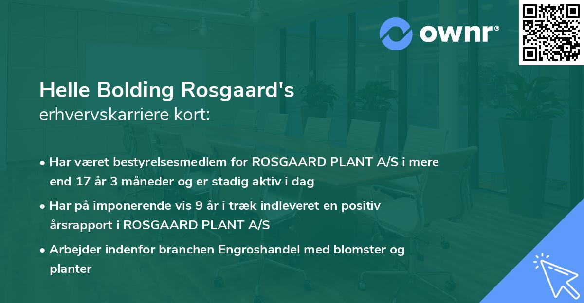 Helle Bolding Rosgaard's erhvervskarriere kort