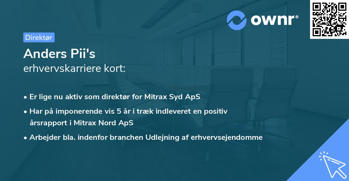 Anders Pii's erhvervskarriere kort
