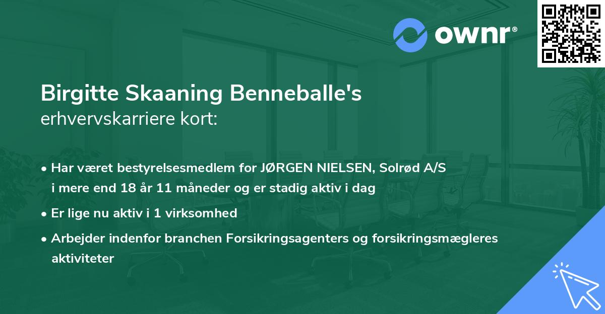 Birgitte Skaaning Benneballe's erhvervskarriere kort