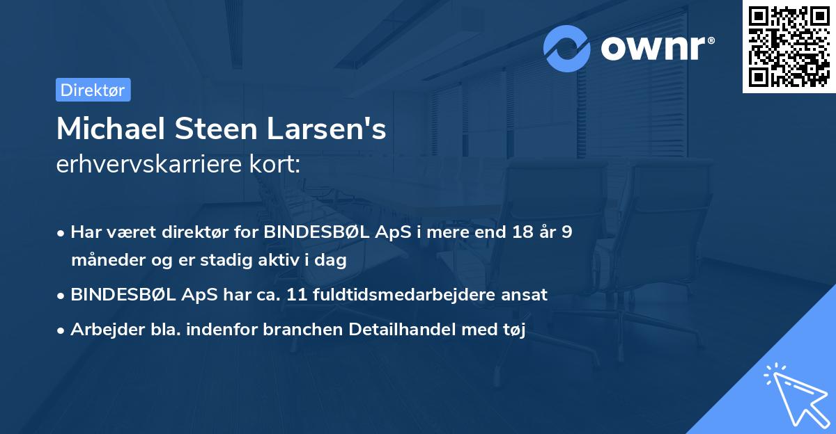 Michael Steen Larsen's erhvervskarriere kort