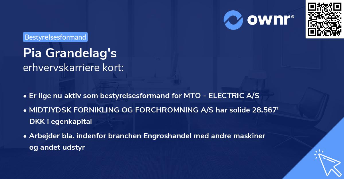 Pia Grandelag's erhvervskarriere kort