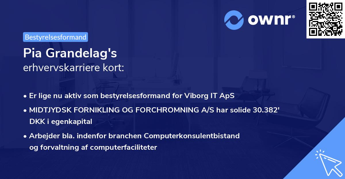 Pia Grandelag's erhvervskarriere kort