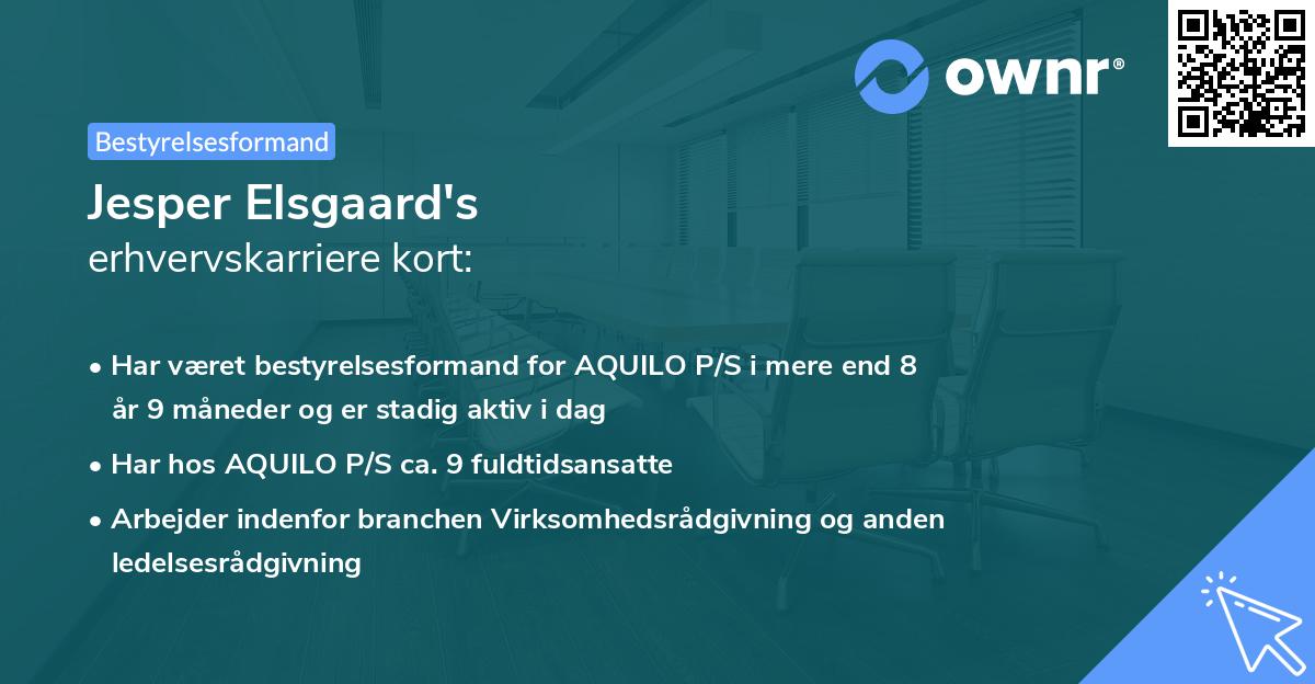 Jesper Elsgaard's erhvervskarriere kort