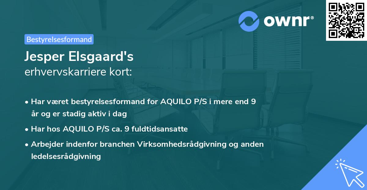 Jesper Elsgaard's erhvervskarriere kort