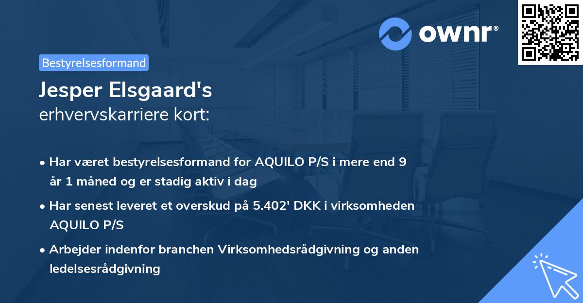 Jesper Elsgaard's erhvervskarriere kort