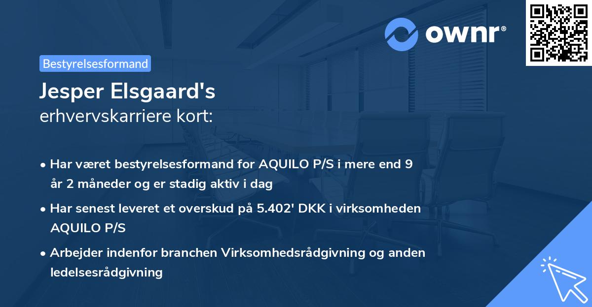 Jesper Elsgaard's erhvervskarriere kort