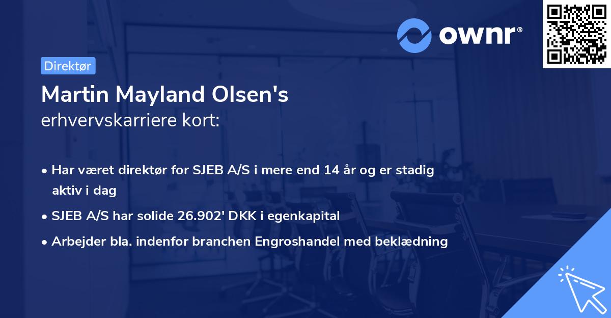 Martin Mayland Olsen's erhvervskarriere kort