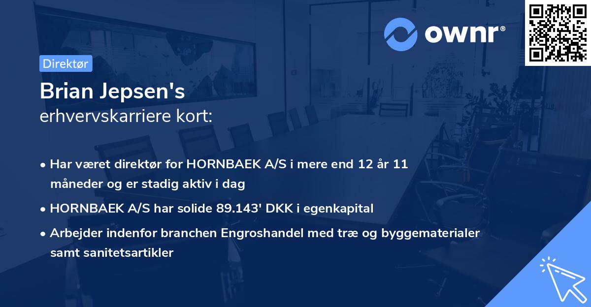 Brian Jepsen's erhvervskarriere kort