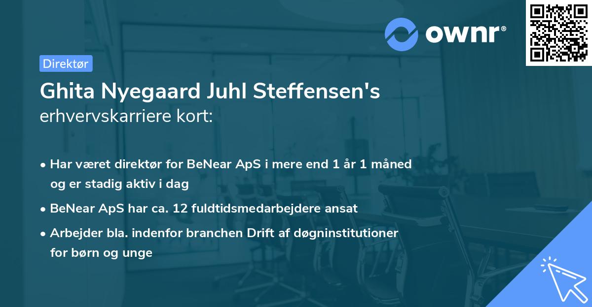 Ghita Nyegaard Juhl Steffensen's erhvervskarriere kort