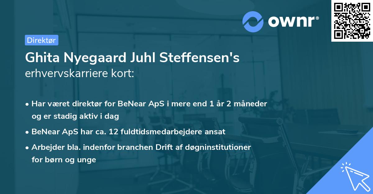 Ghita Nyegaard Juhl Steffensen's erhvervskarriere kort