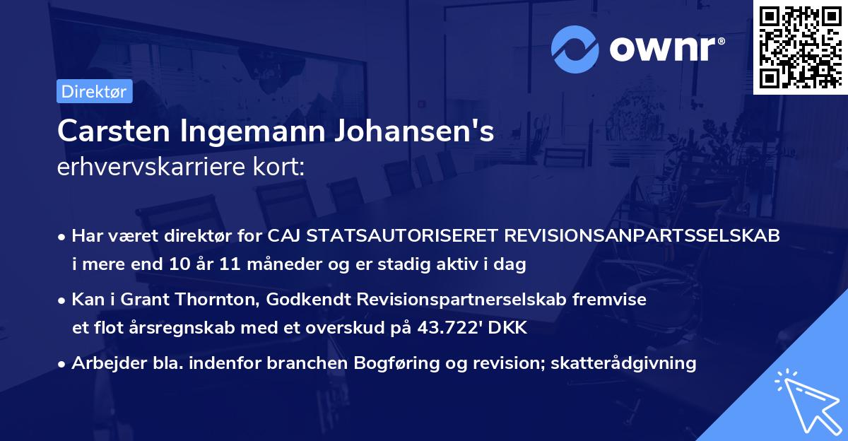 Carsten Ingemann Johansen's erhvervskarriere kort