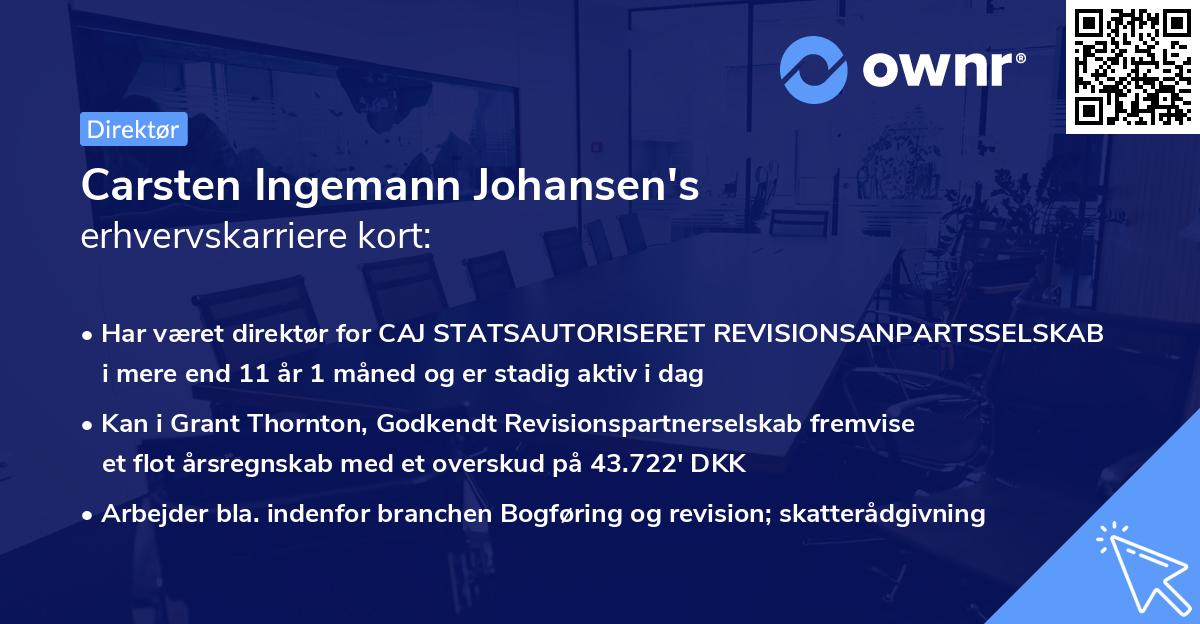Carsten Ingemann Johansen's erhvervskarriere kort