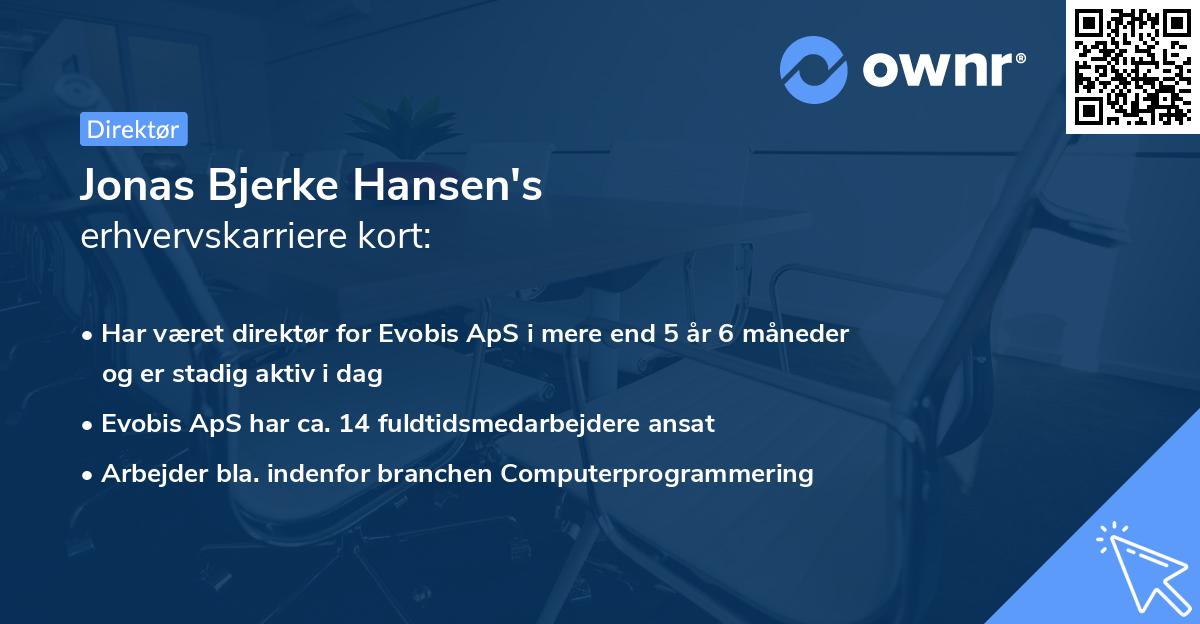 Jonas Bjerke Hansen's erhvervskarriere kort
