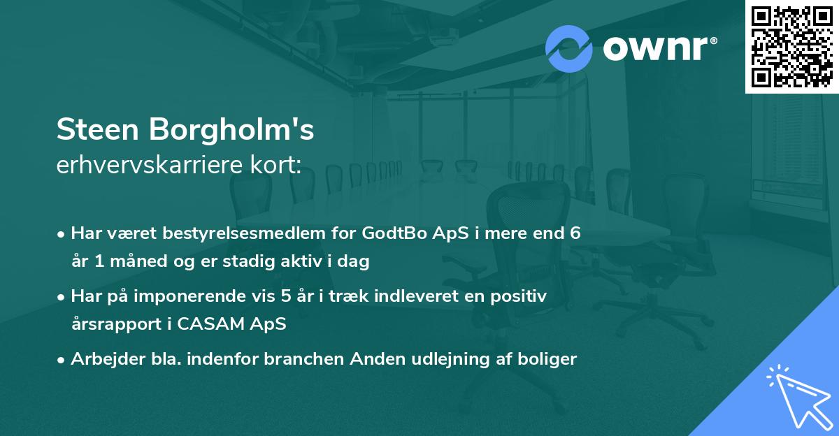 Steen Borgholm's erhvervskarriere kort