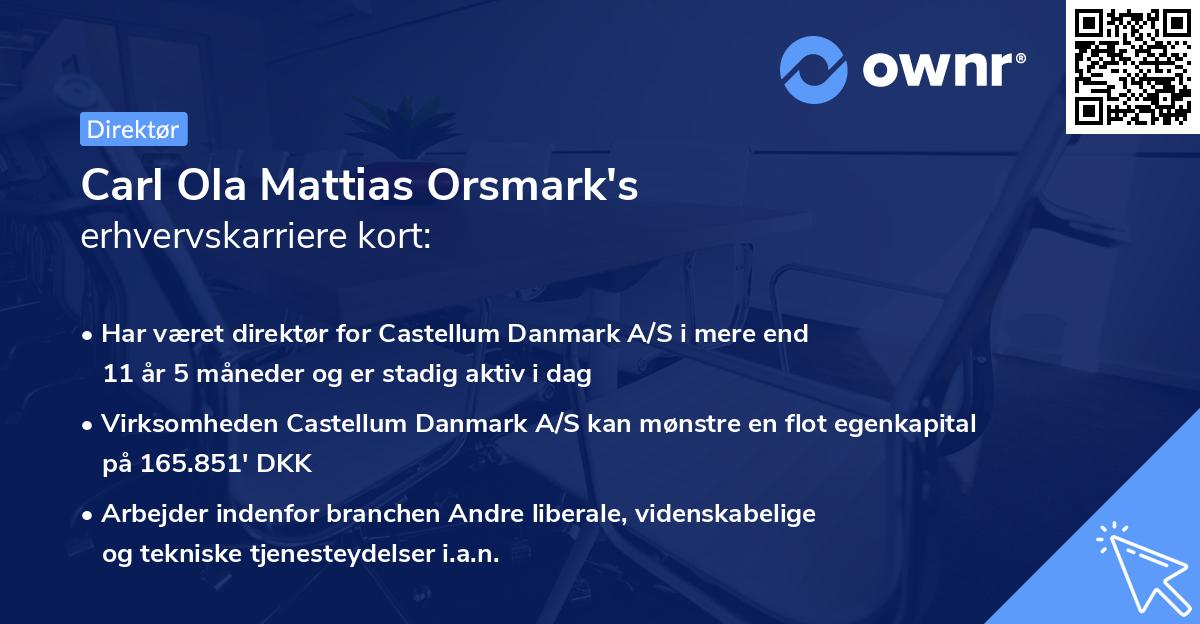 Carl Ola Mattias Orsmark's erhvervskarriere kort