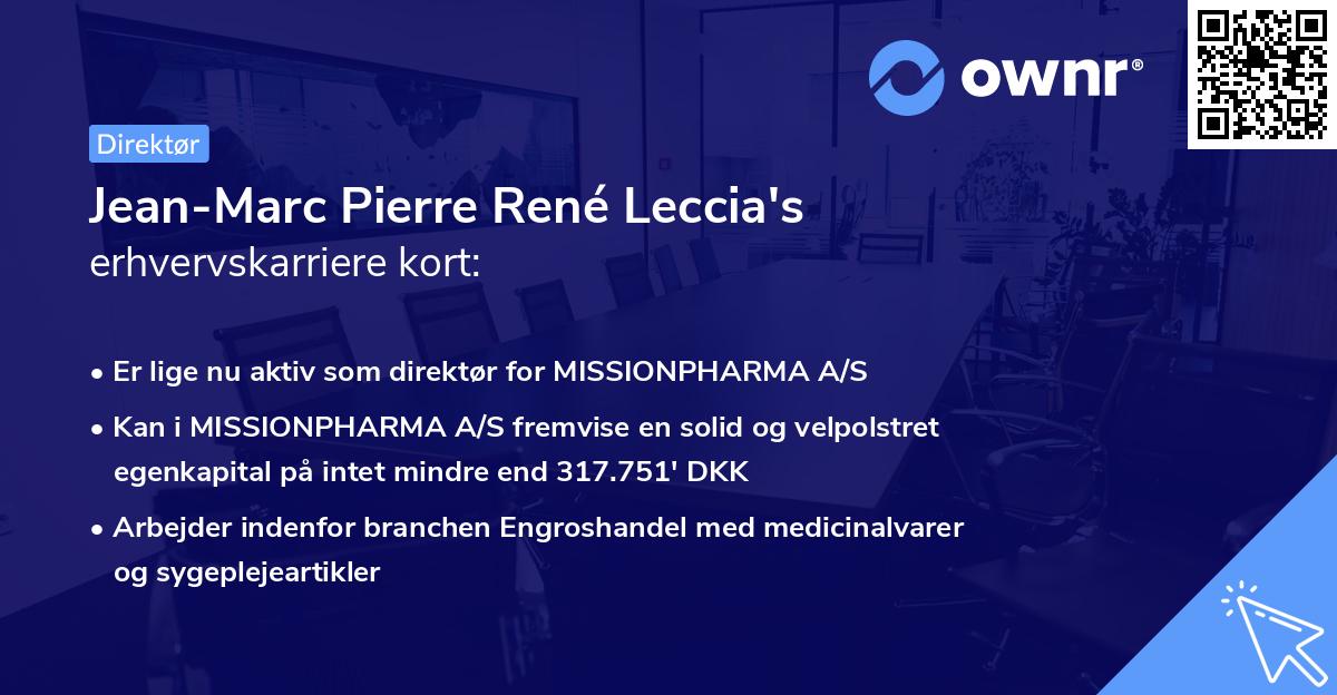 Jean-Marc Pierre René Leccia's erhvervskarriere kort