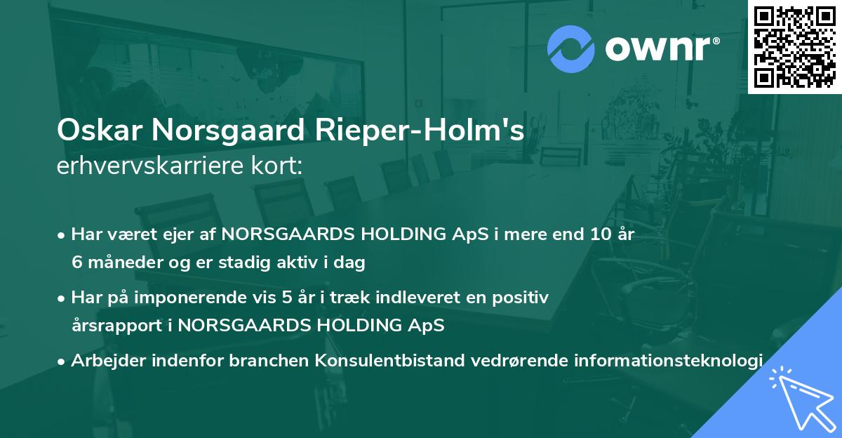 Oskar Norsgaard Rieper-Holm's erhvervskarriere kort