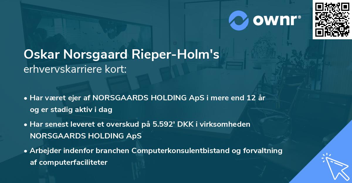 Oskar Norsgaard Rieper-Holm's erhvervskarriere kort