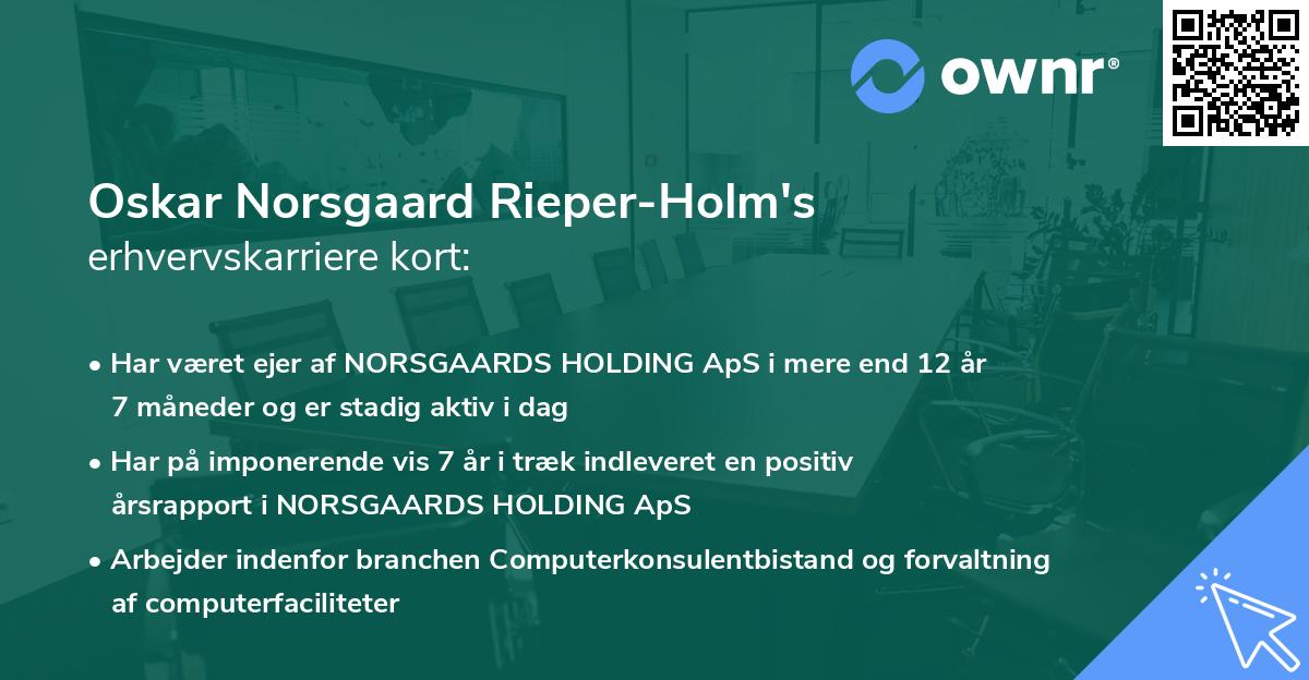 Oskar Norsgaard Rieper-Holm's erhvervskarriere kort