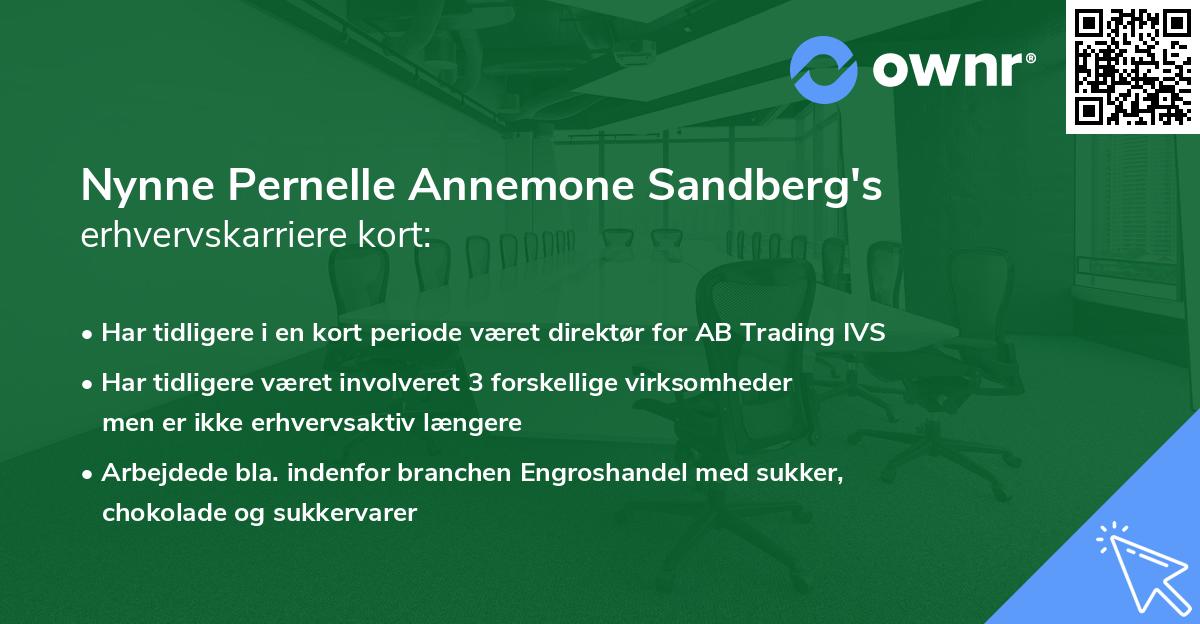 Nynne Pernelle Annemone Sandberg's erhvervskarriere kort