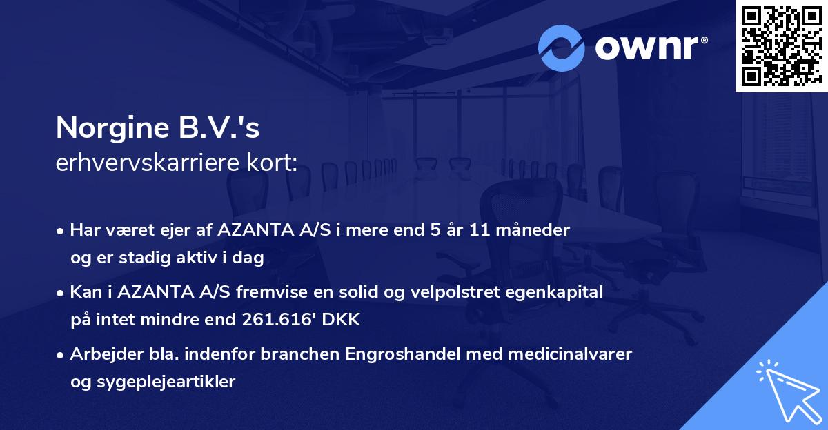 Norgine B.V.'s erhvervskarriere kort